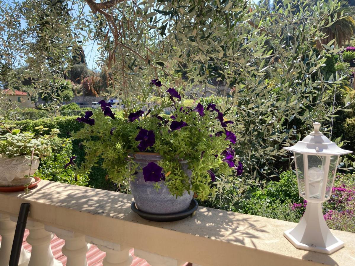 Studio Villa La Cigale Avec Grande Terrasse Menton Eksteriør bilde